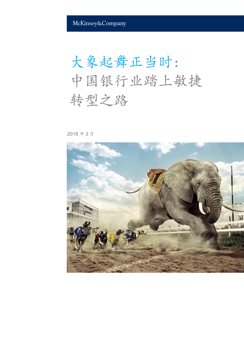 大象起舞正当时：中国银行业踏上敏捷转型之路.pdf 第1页