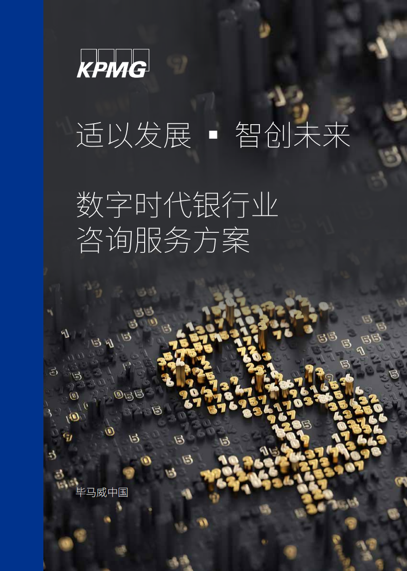 数字时代银行业咨询服务方案.pdf 第1页