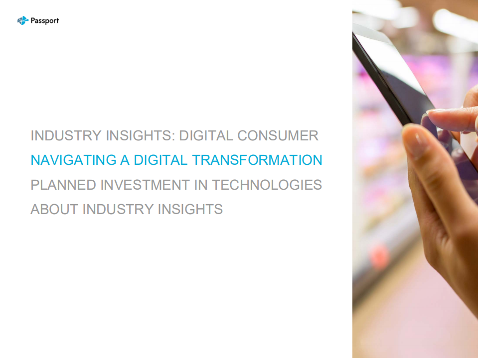 行业之声：数字消费者（英文版）.pdf 第4页