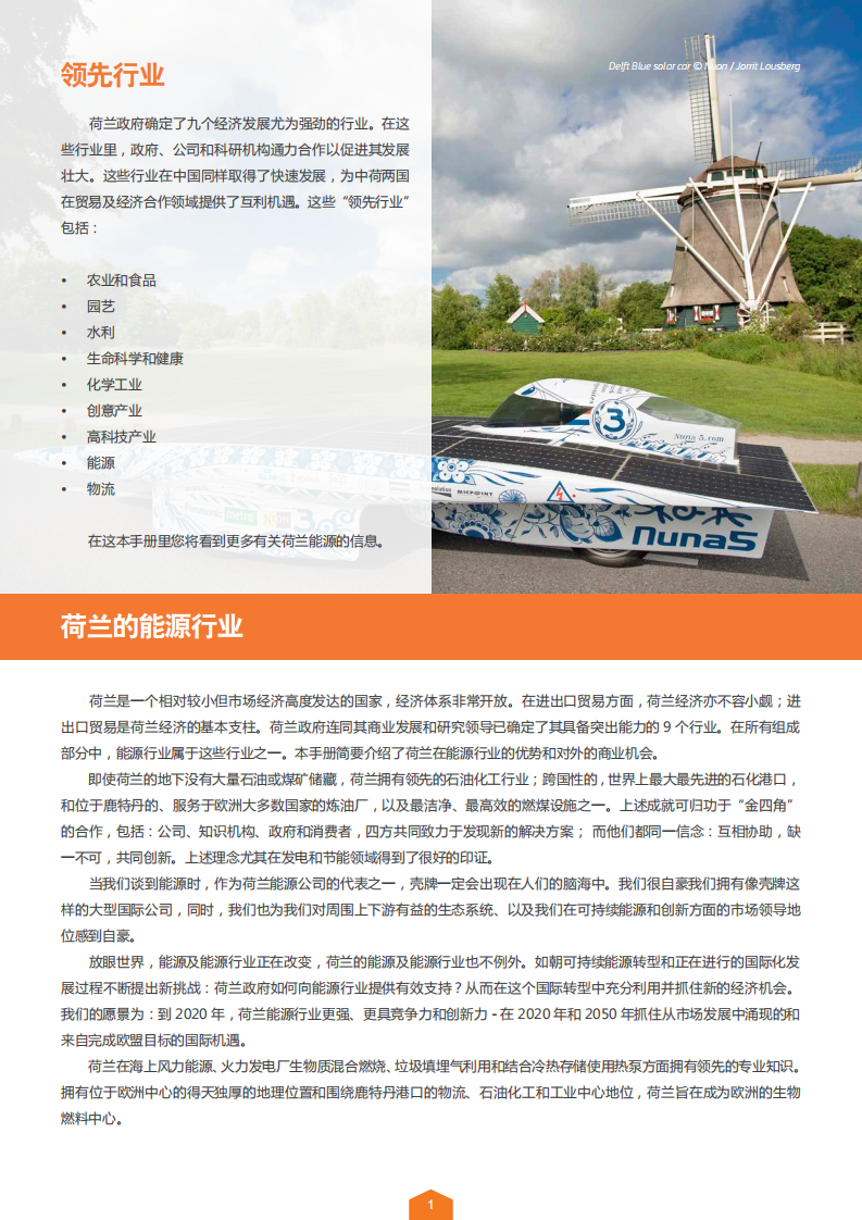 荷兰领先行业：能源.pdf 第2页