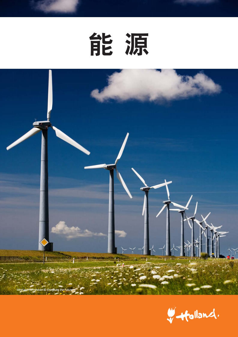 荷兰领先行业：能源.pdf 第1页