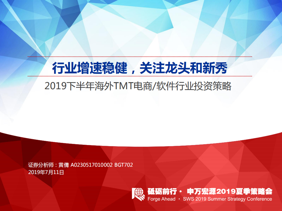2019下半年海外TMT电商、软件行业投资策略：行业增速稳健，关注龙头和新秀.pdf 第1页
