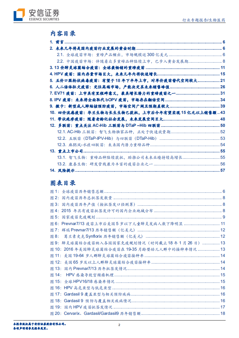 疫苗行业专题：从全球化视野，看国内重磅疫苗市场空间.pdf 第2页