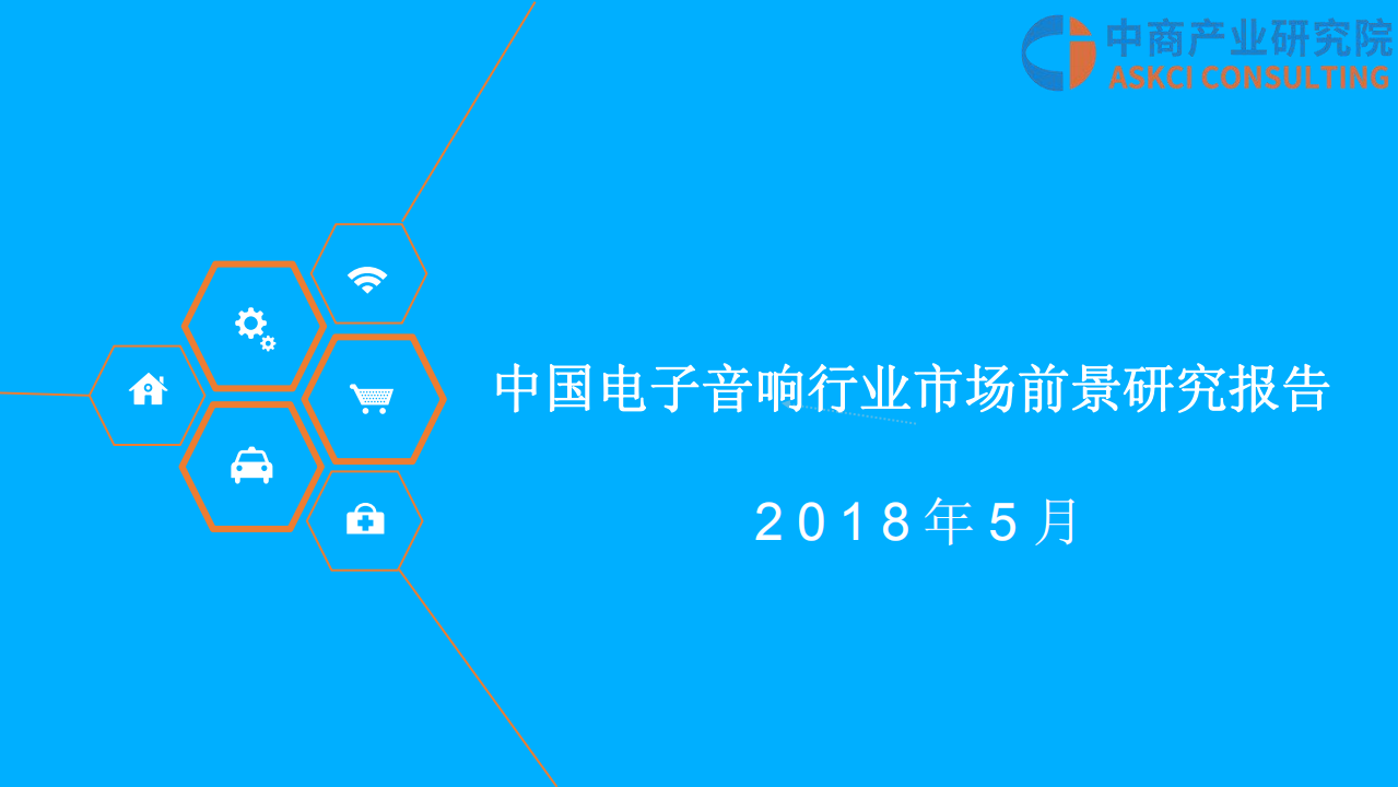 中国电子音响行业市场前景研究报告.pdf 第1页