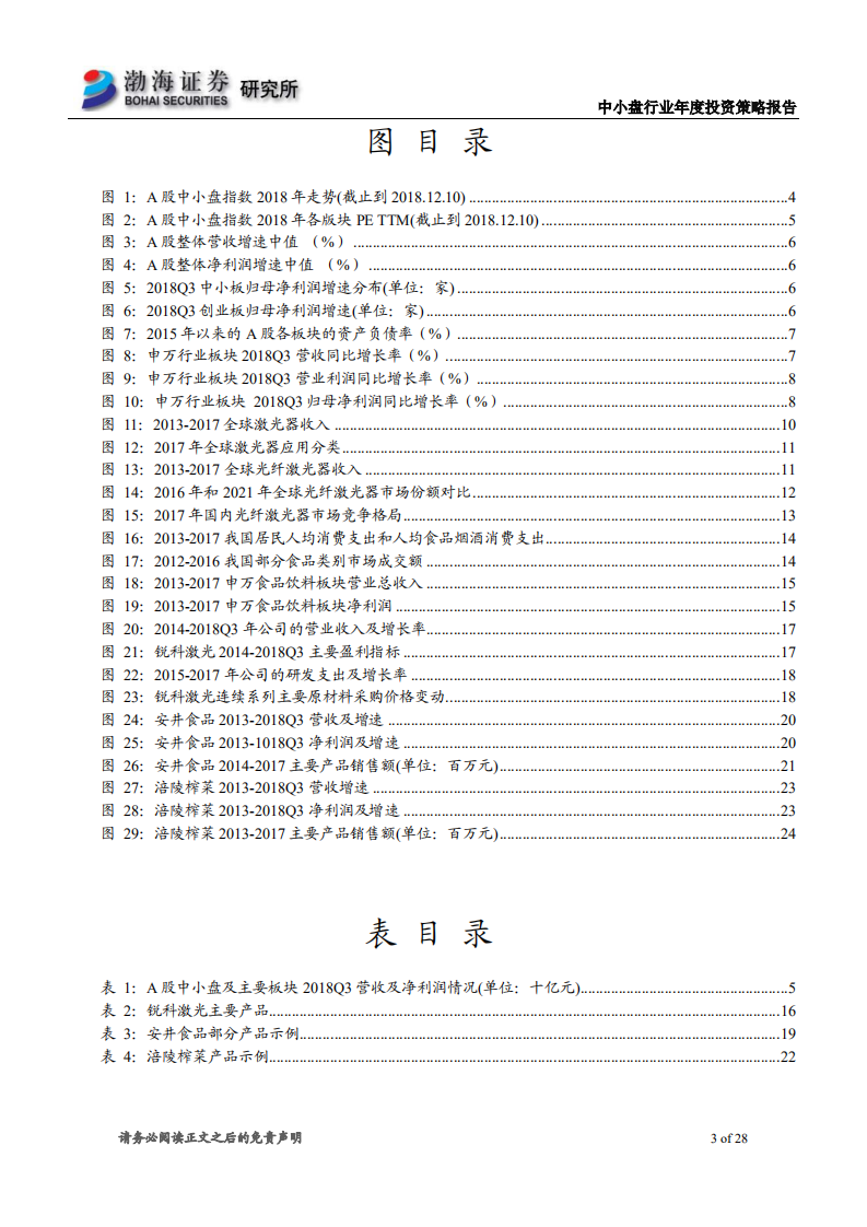 中小盘行业年度投资策略报告：冬去春来，挖掘细分成长龙头.pdf 第3页