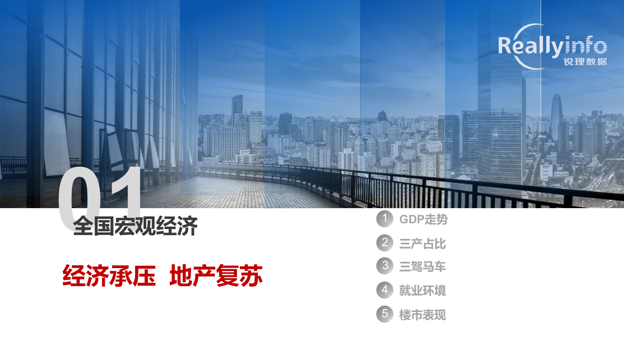 锐理数据2020年上半年半年报（合稿）0618.pptx 第3页