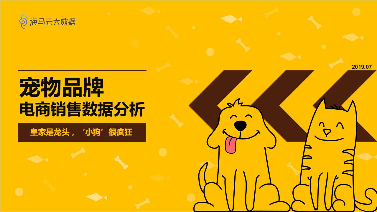 宠物品牌电商销售数据分析.pdf 第1页