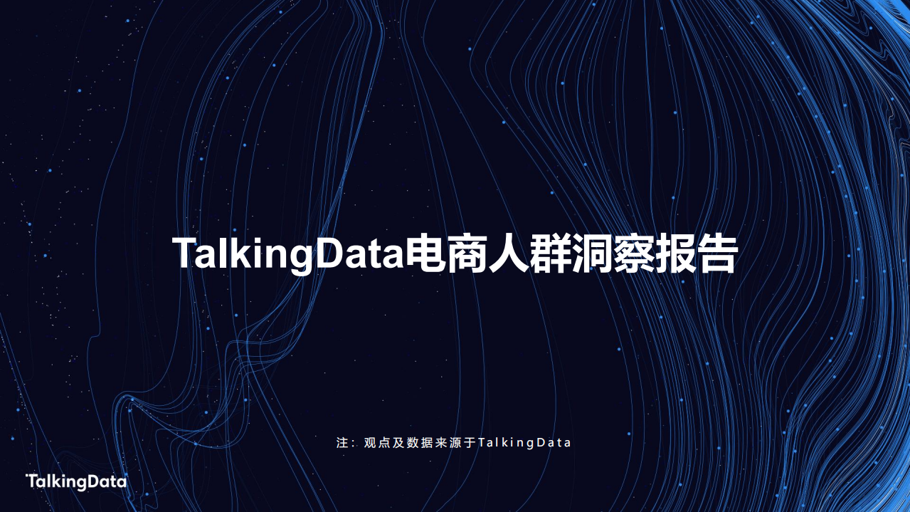 电商人群洞察报告.pdf 第1页