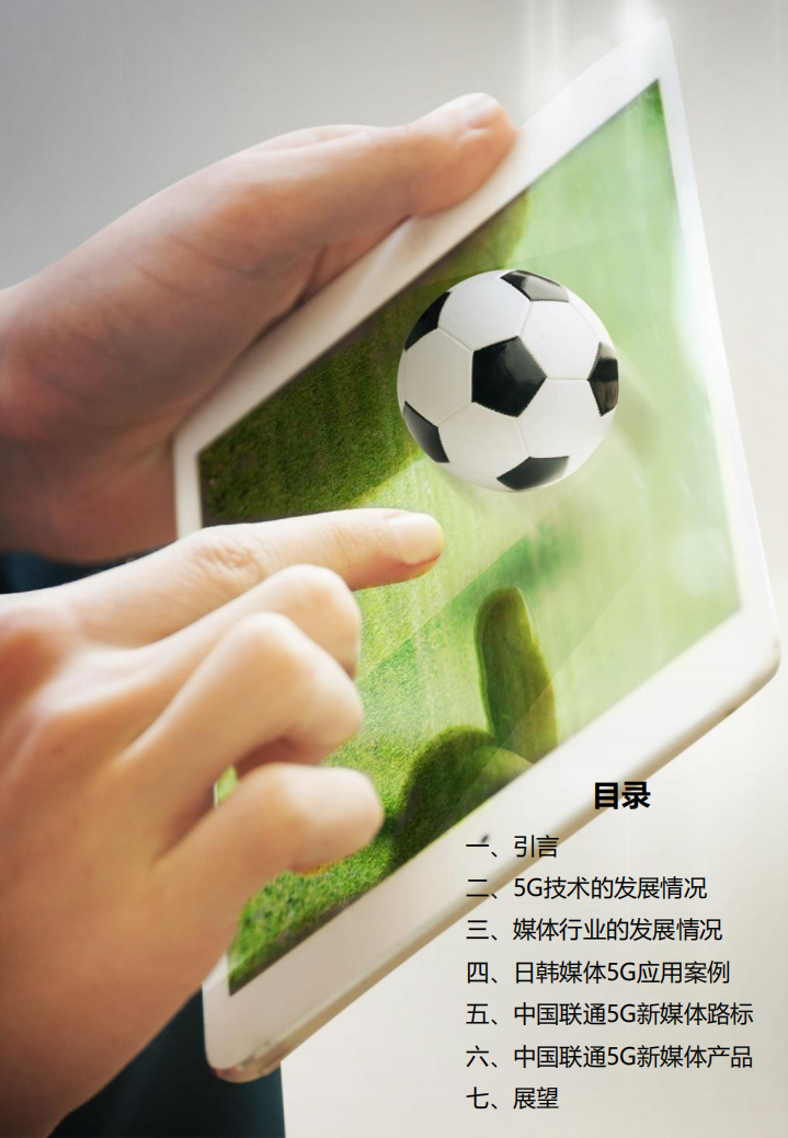 5G新媒体白皮书.pdf 第2页