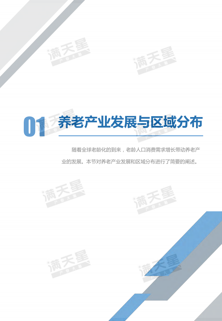 2019中国城市积极养老指数白皮书.pdf 第6页