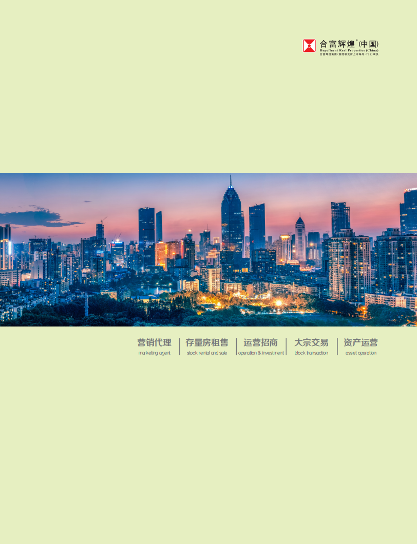 2020中国代表城市房地产市场预测.pdf 第6页