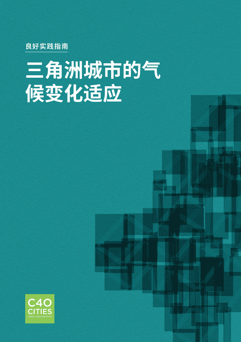 良好实践指南：三角洲城市的气候变化适应.pdf 第1页