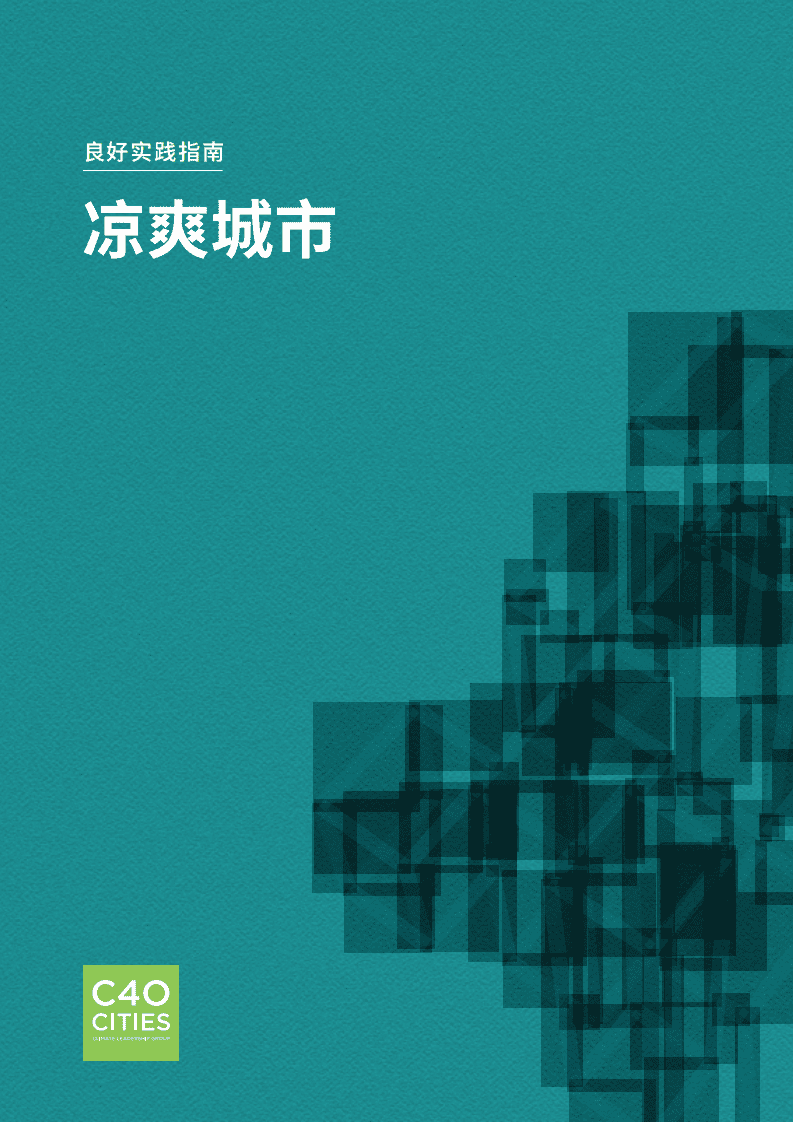 良好实践指南：凉爽城市.pdf 第1页