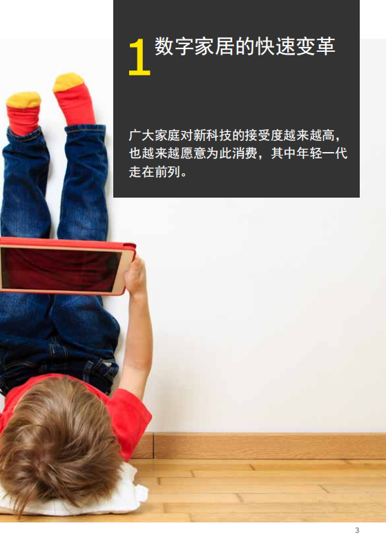解码数字家居2019.pdf 第3页
