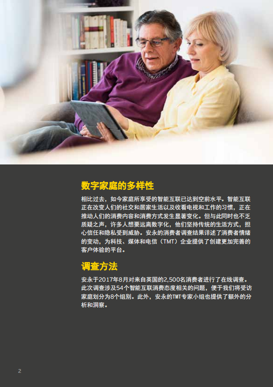 盘点智能家居：消费者对智能互联家居技术的态度.pdf 第2页