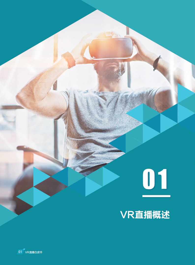 VR直播白皮书.pdf 第6页