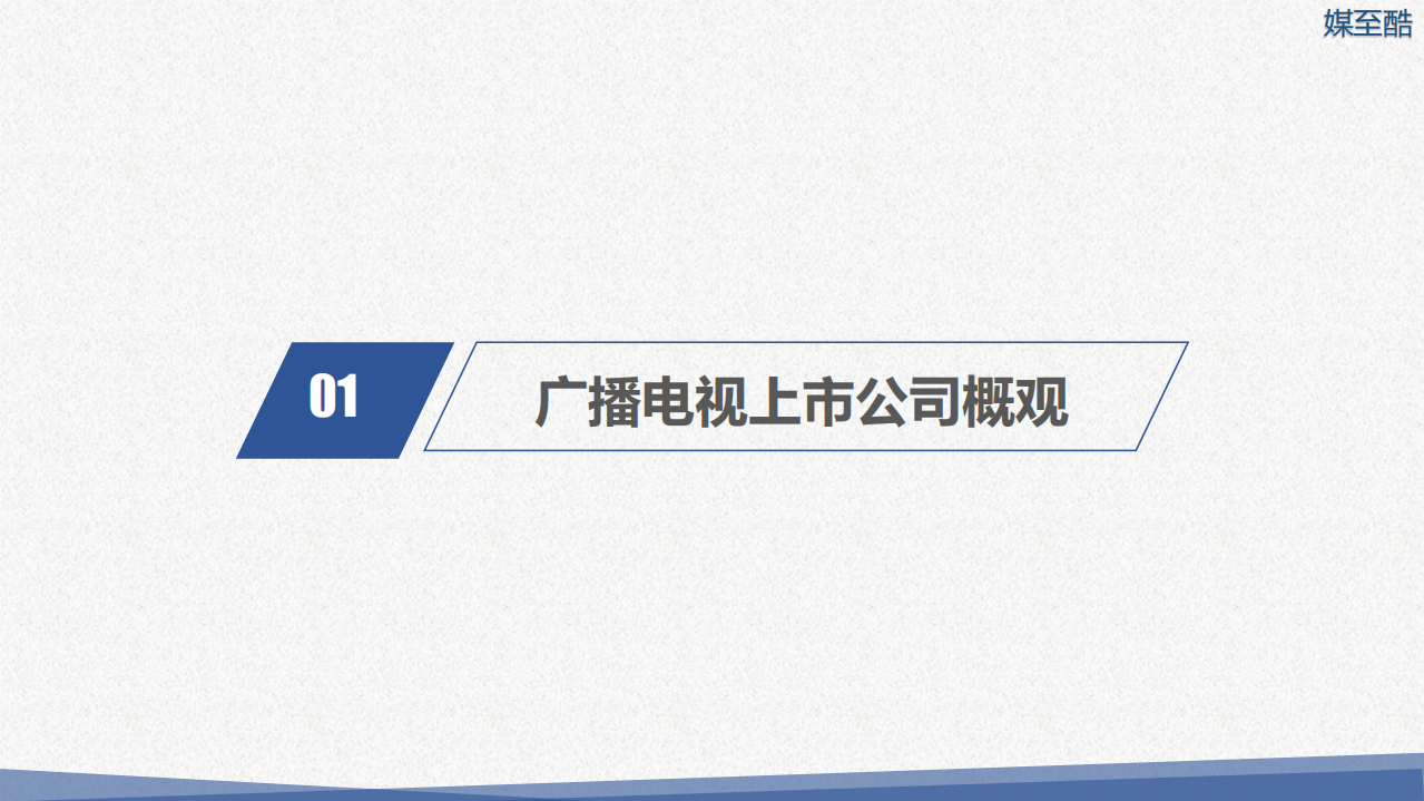 2018广播电视上市公司年度绩效数据报告.pdf 第4页