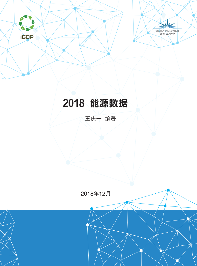 2018能源数据.pdf 第1页
