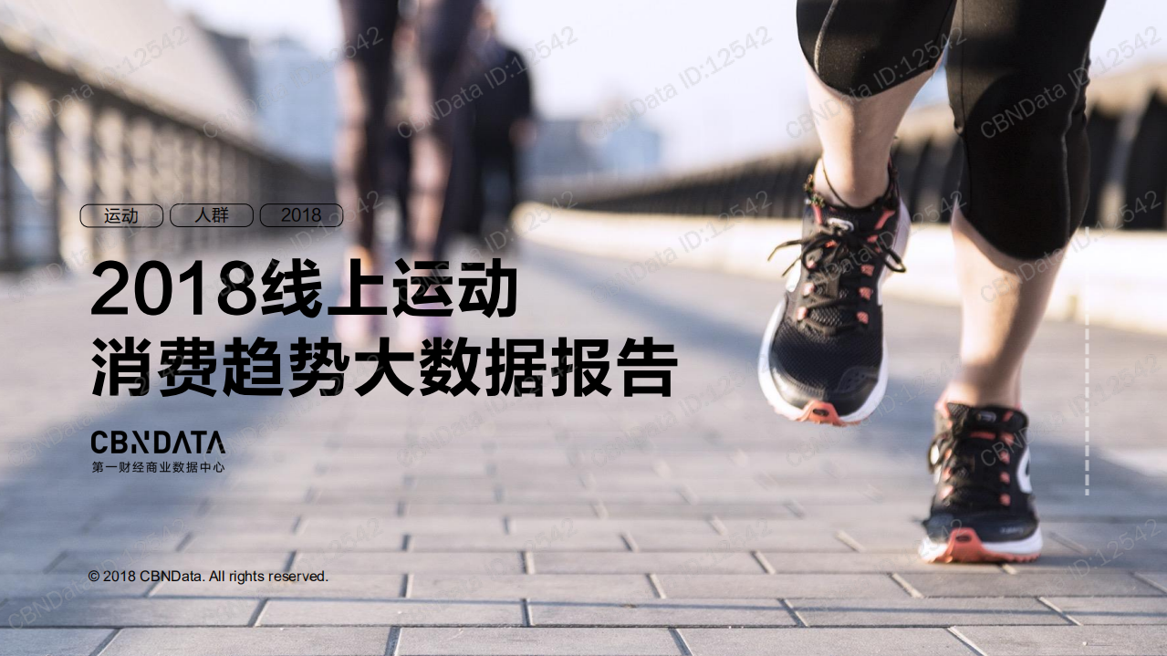 2018线上运动消费趋势大数据报告.pdf 第1页