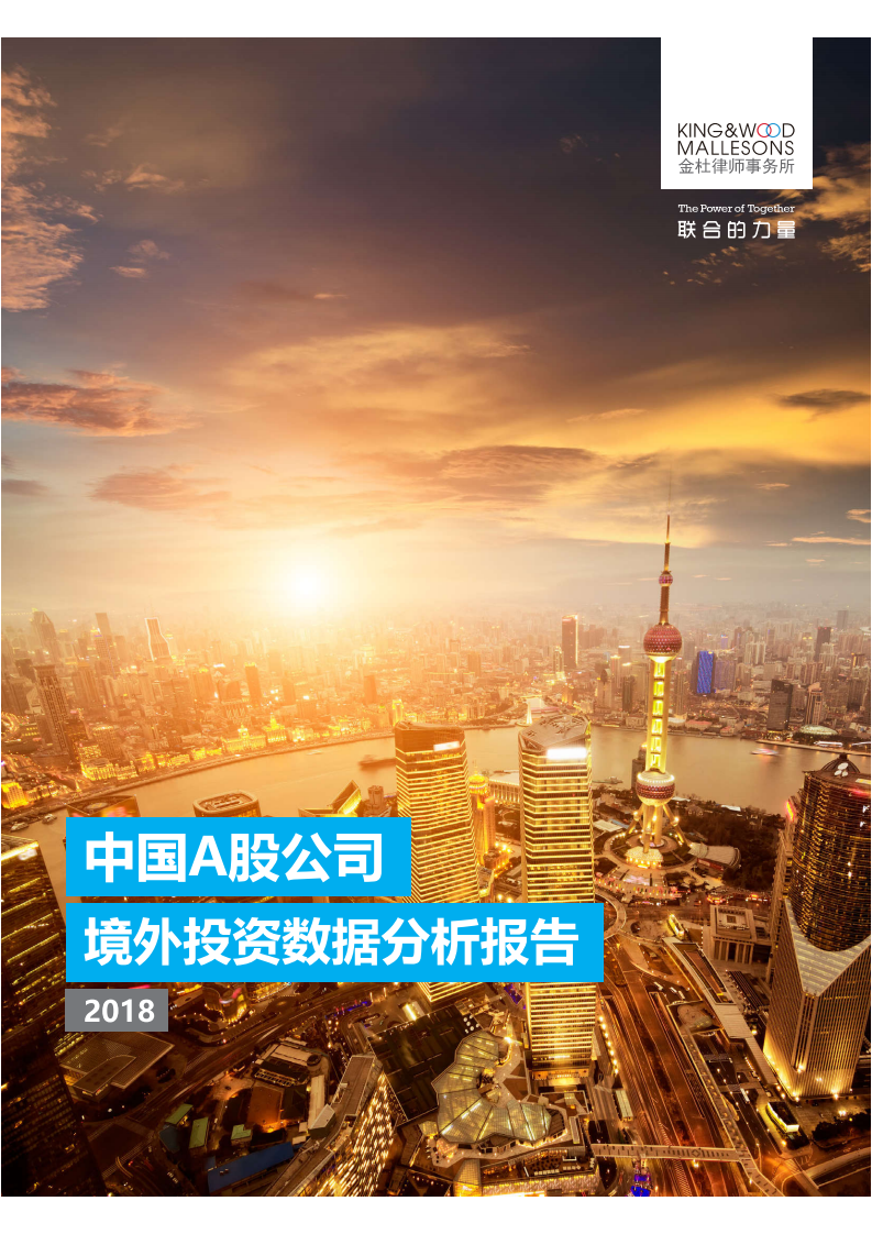 2018中国A股公司境外投资数据分析报告.pdf 第1页