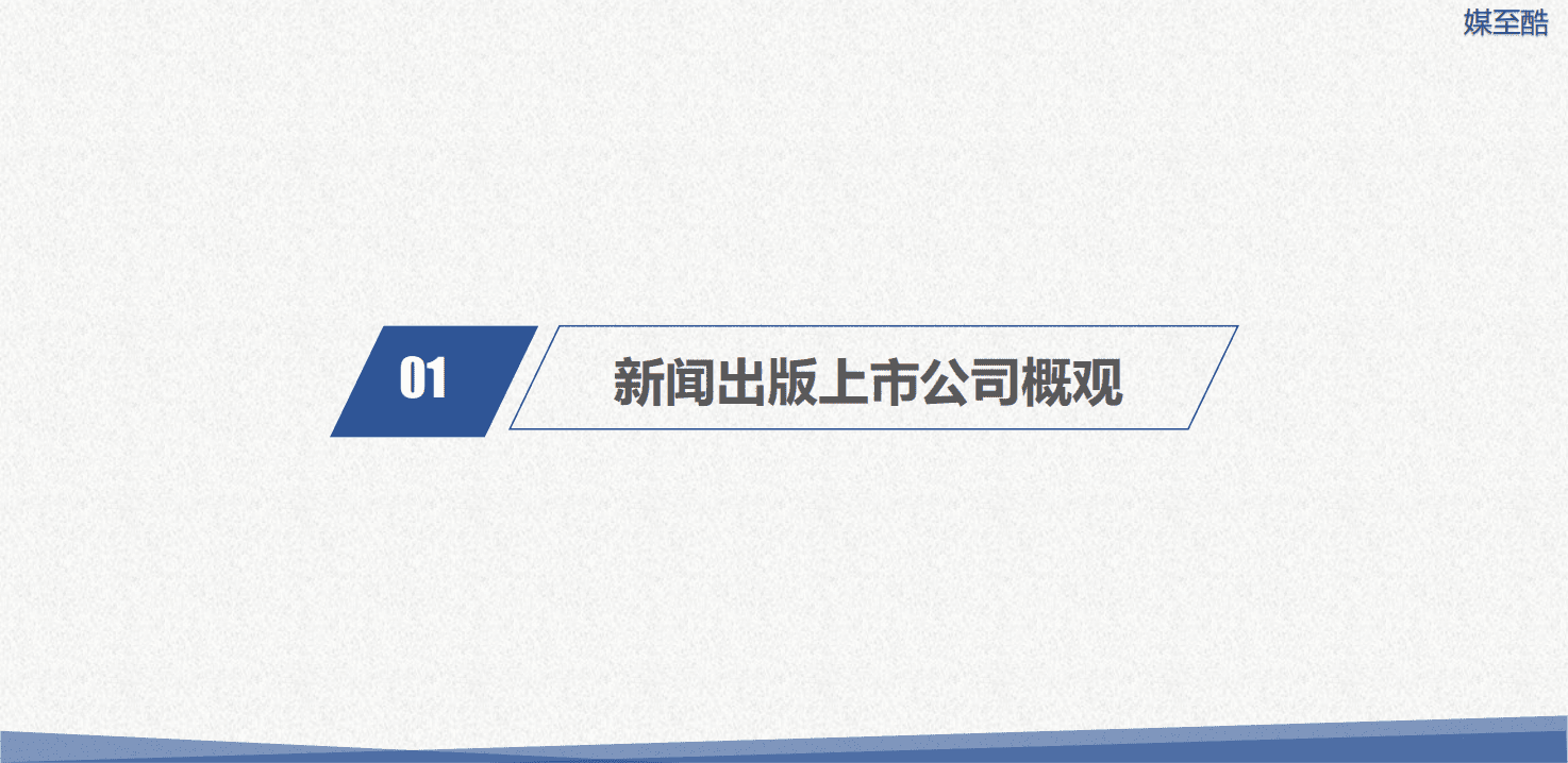 2019新闻出版上市公司年度绩效数据报告.pdf 第4页