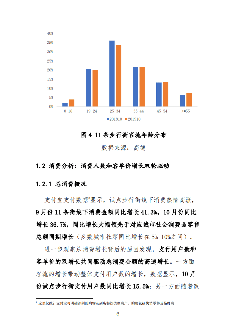 阿里巴巴关于11条步行街改造提升的数据分析报告.pdf 第6页