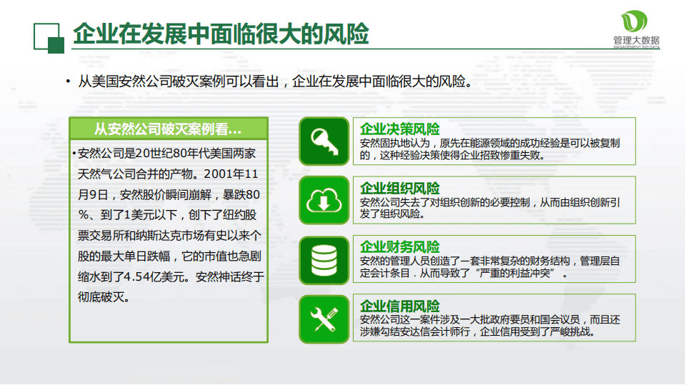 从大数据看企业风险管理.pdf 第4页