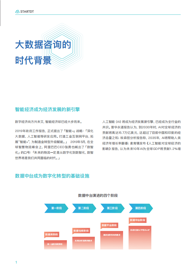 大数据咨询方法论白皮书.pdf 第3页