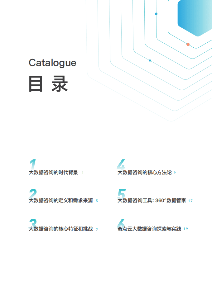大数据咨询方法论白皮书.pdf 第2页