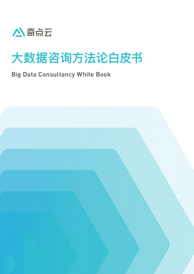 大数据咨询方法论白皮书.pdf 第1页