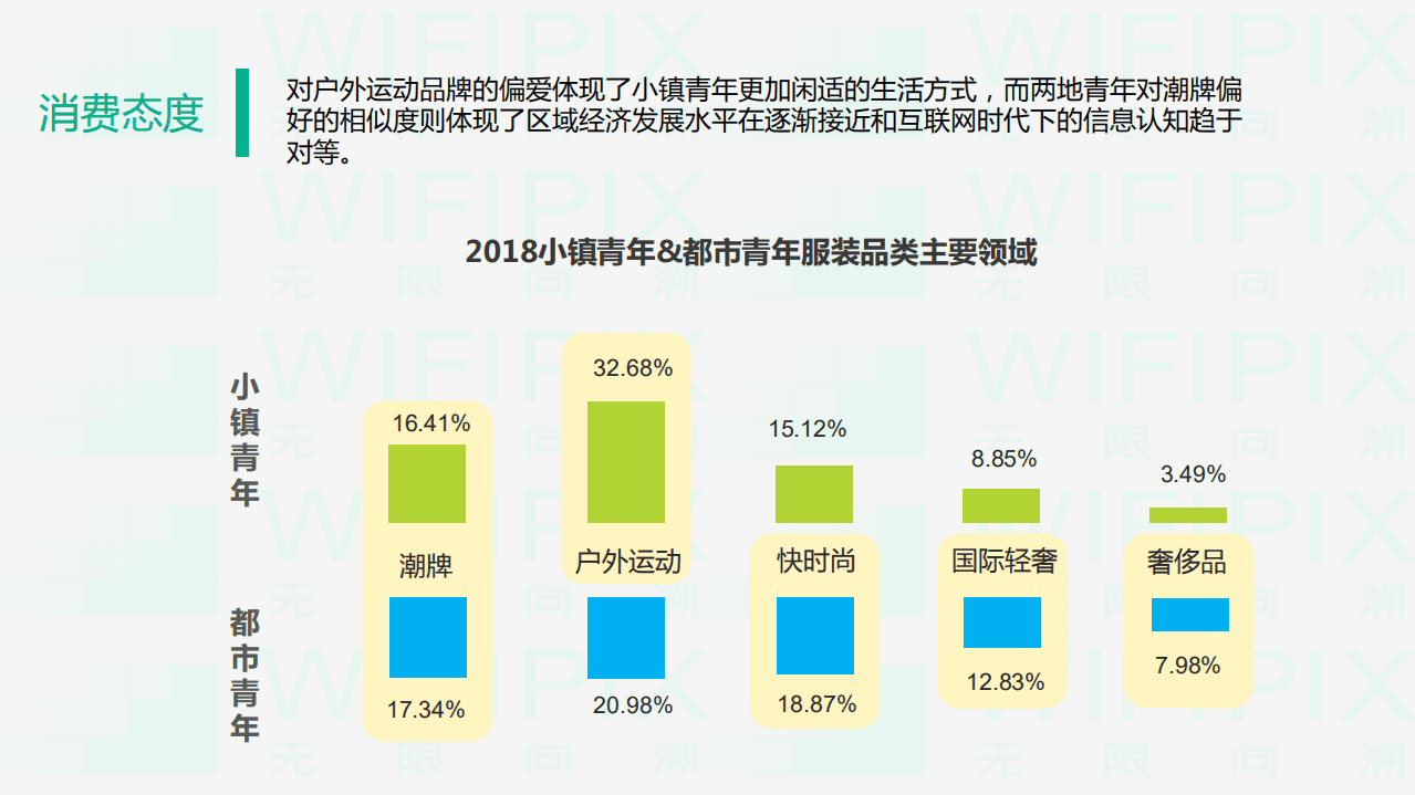 WIFIPIX：90后人群消费大数据分析.pdf 第6页