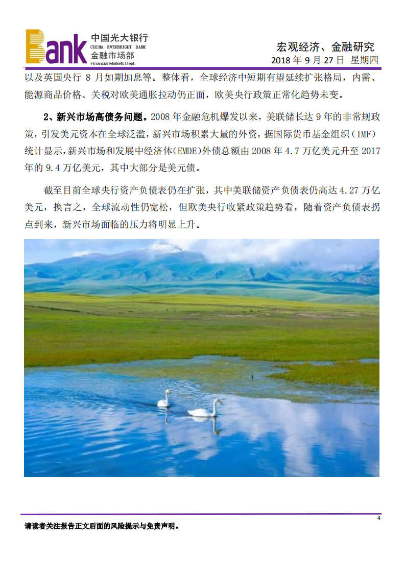 宏观经济、金融研究：警惕新兴市场远忧.pdf 第4页
