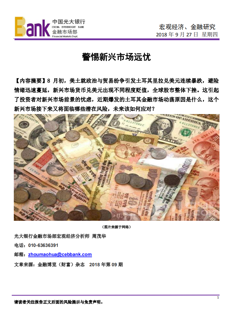 宏观经济、金融研究：警惕新兴市场远忧.pdf 第1页