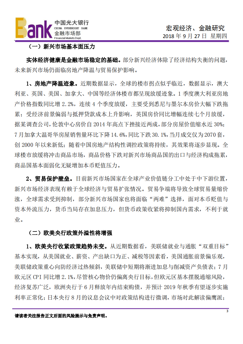 宏观经济、金融研究：警惕新兴市场远忧.pdf 第3页