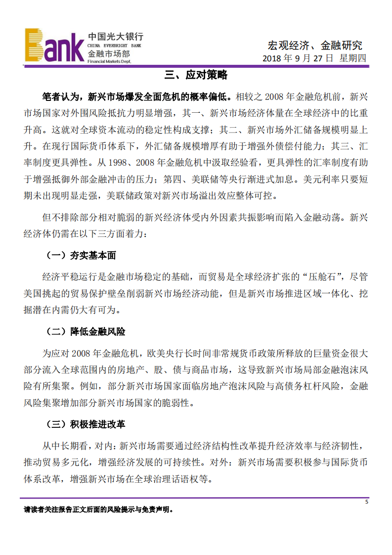宏观经济、金融研究：警惕新兴市场远忧.pdf 第5页