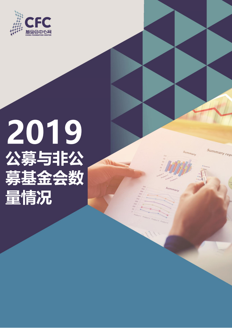 2019公募与非公募基金会数量情况.pdf 第1页