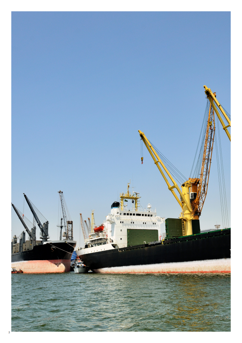 CDP：将中国大豆进口与巴西毁林导致的碳排放脱钩.pdf 第2页