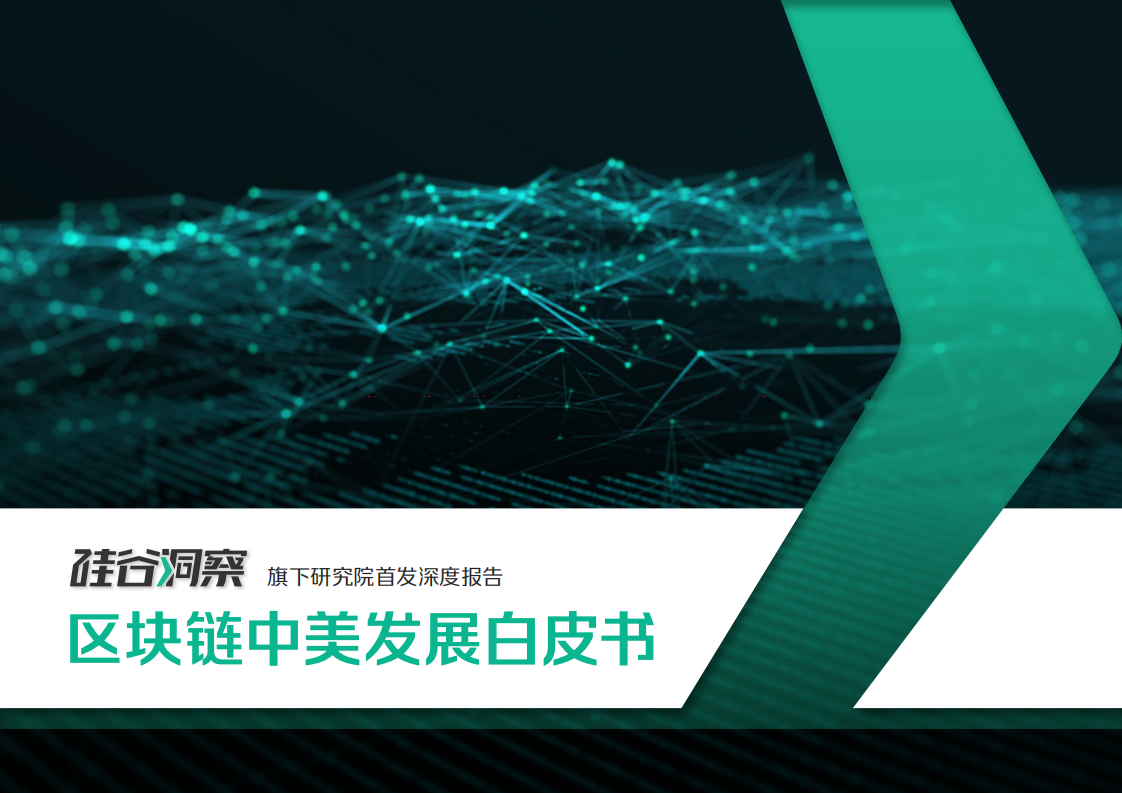区块链中美发展白皮书.pdf 第1页