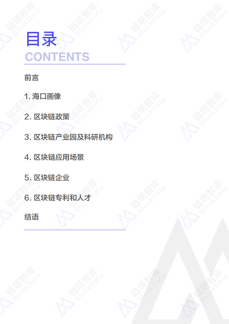 中国区块链50城之海口.pdf 第2页