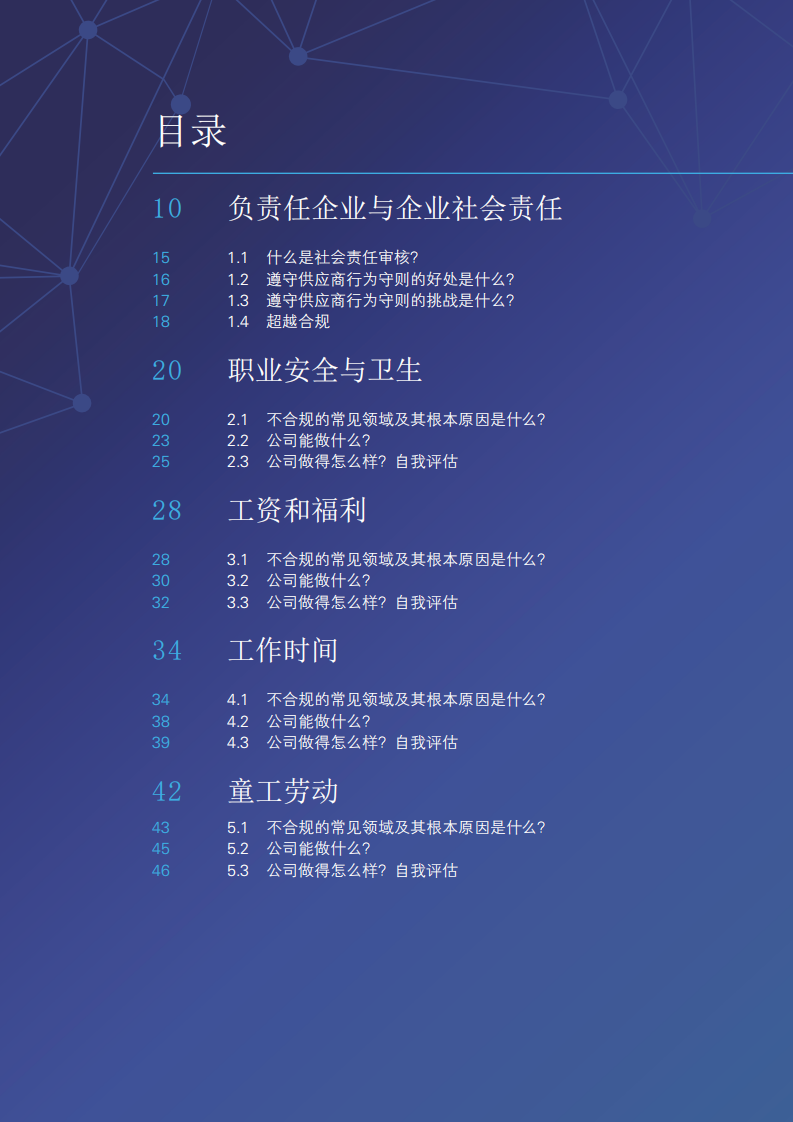 国际劳工组织：全球供应链中的劳工标准：如何成为更具竞争力和可持续的企业.pdf 第6页