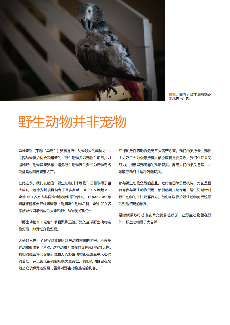 世界动物保护协会：异域宠物贸易的残酷现状.pdf 第2页