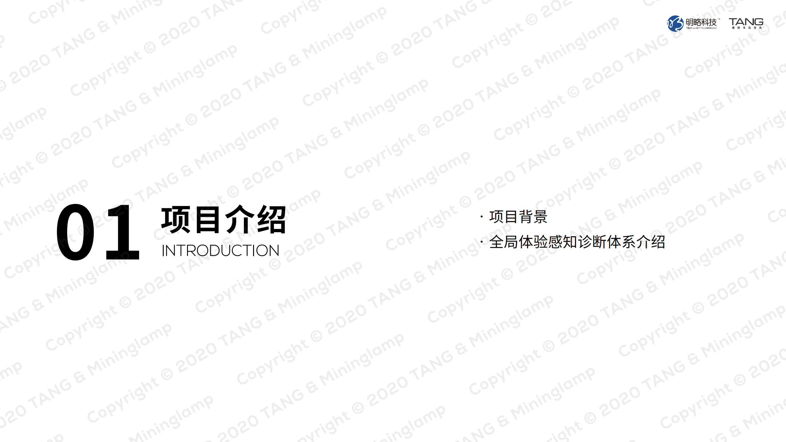 唐硕&明略科技：2021全局体验正当时：手机品牌用户体验感知诊断.pdf 第3页