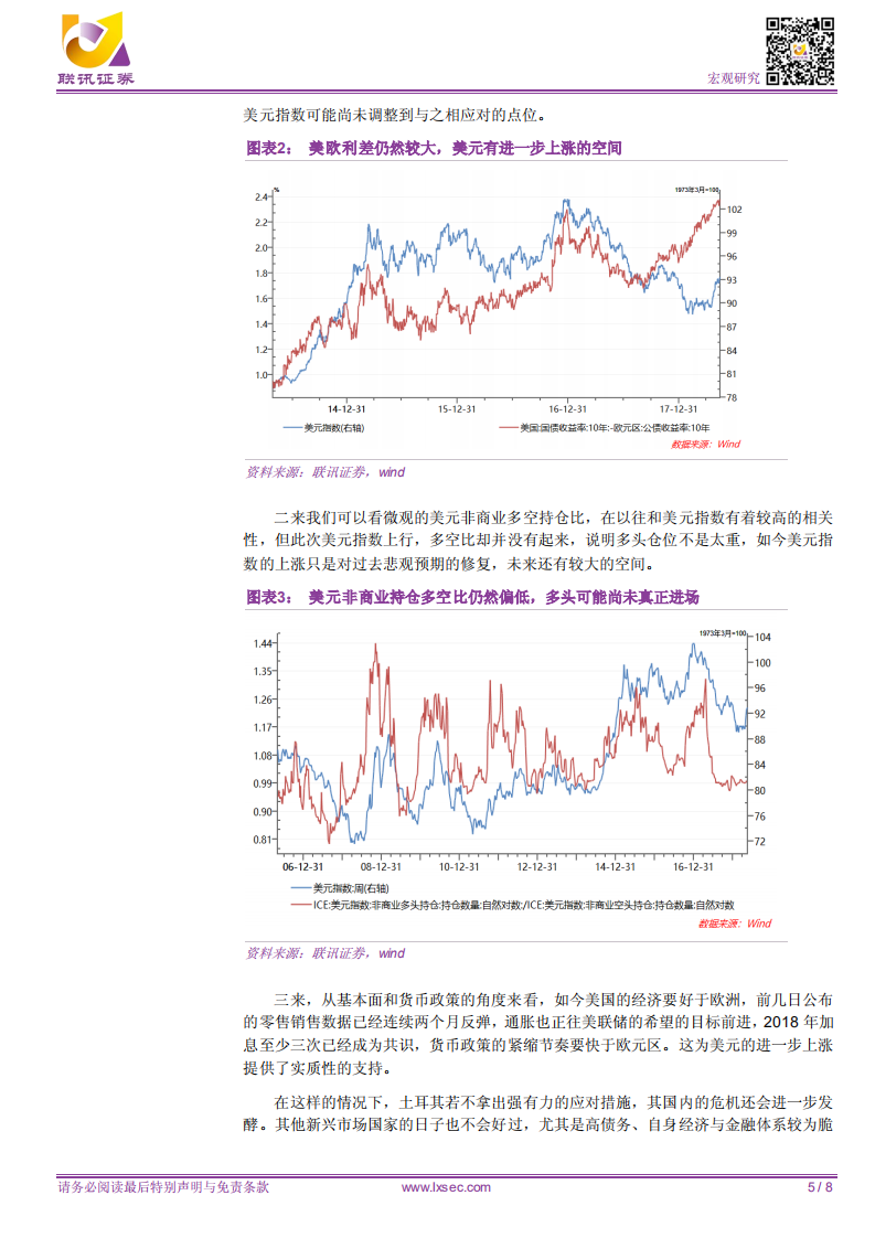 强美元下的土耳其危机.pdf 第5页