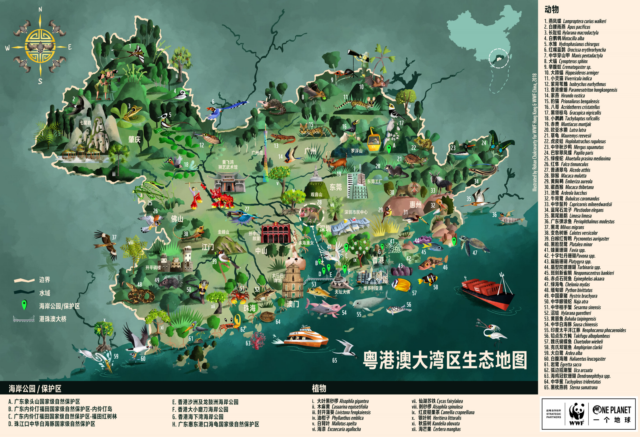 粤港澳大湾区生态地图.pdf 第2页
