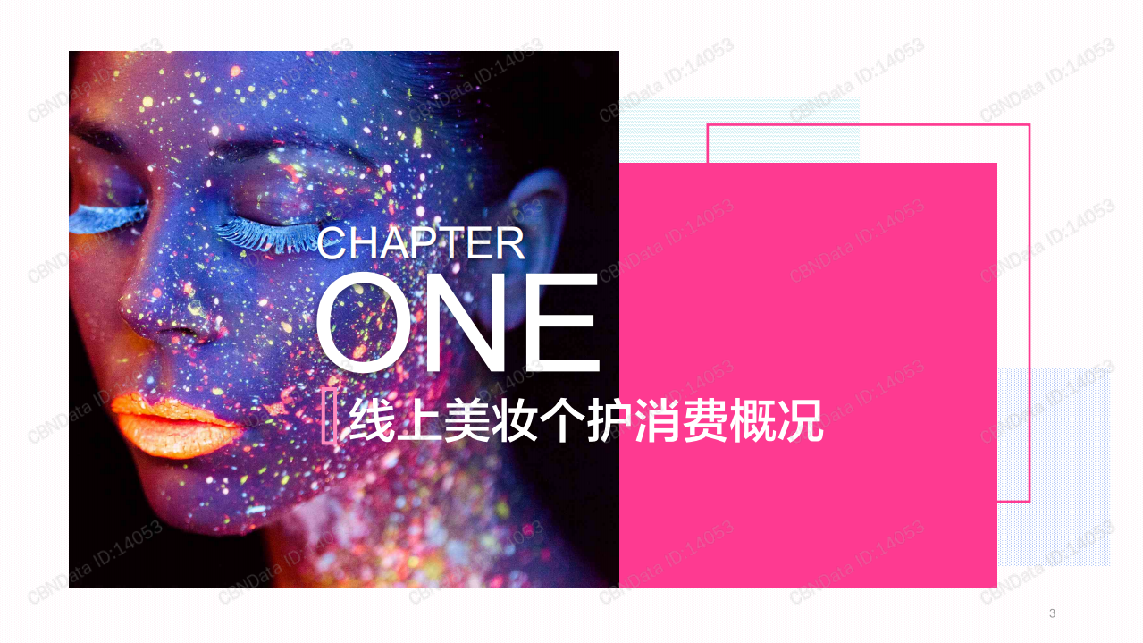 2019线 上美妆个护人群洞察.pdf 第3页