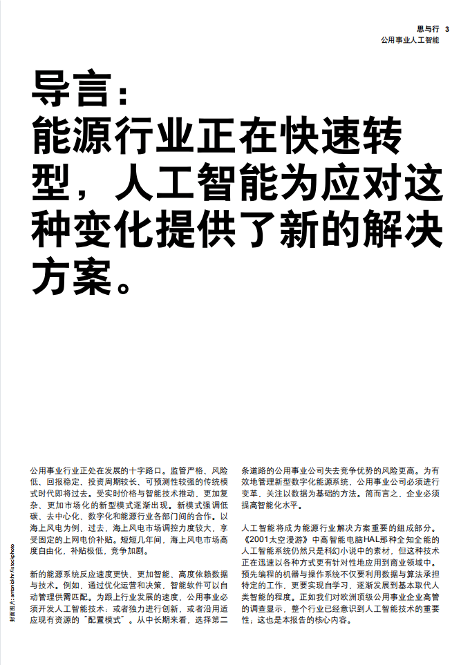 Roland Berger：人工智能，公用事业的智能之路.pdf 第3页