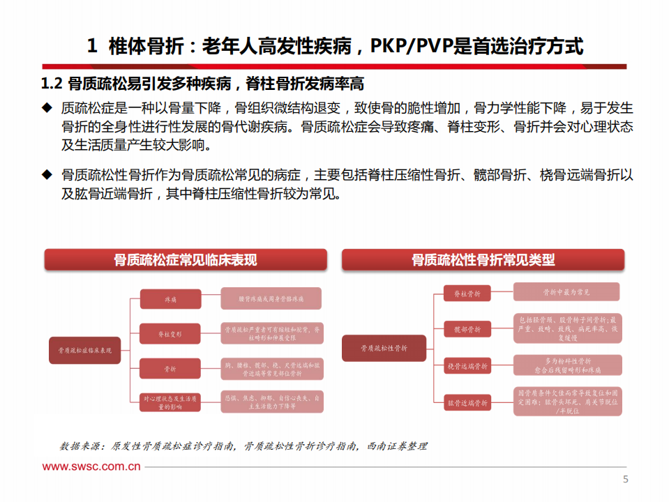 骨科专题报告：从两波婴儿潮看脊柱微创手术发展机遇.pdf 第6页