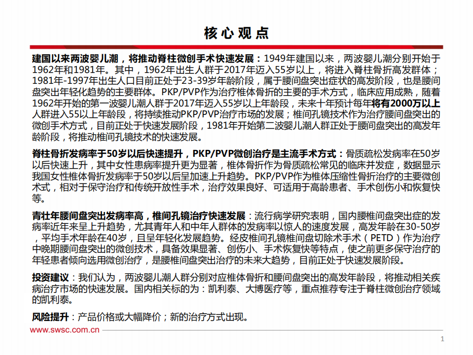 骨科专题报告：从两波婴儿潮看脊柱微创手术发展机遇.pdf 第2页