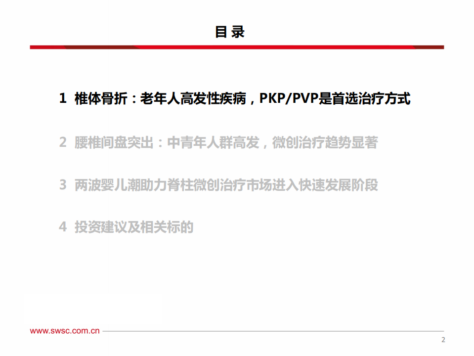 骨科专题报告：从两波婴儿潮看脊柱微创手术发展机遇.pdf 第3页