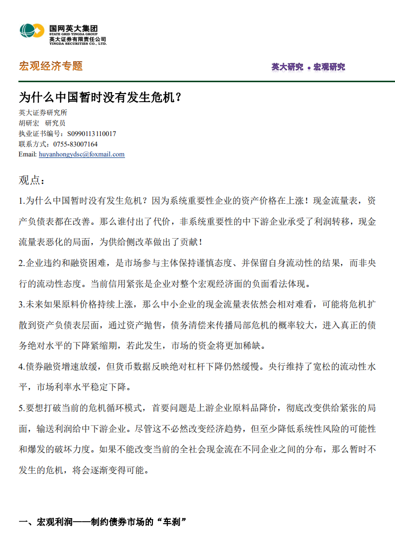 宏观经济专题：为什么中国暂时没有发生危机？.pdf 第1页